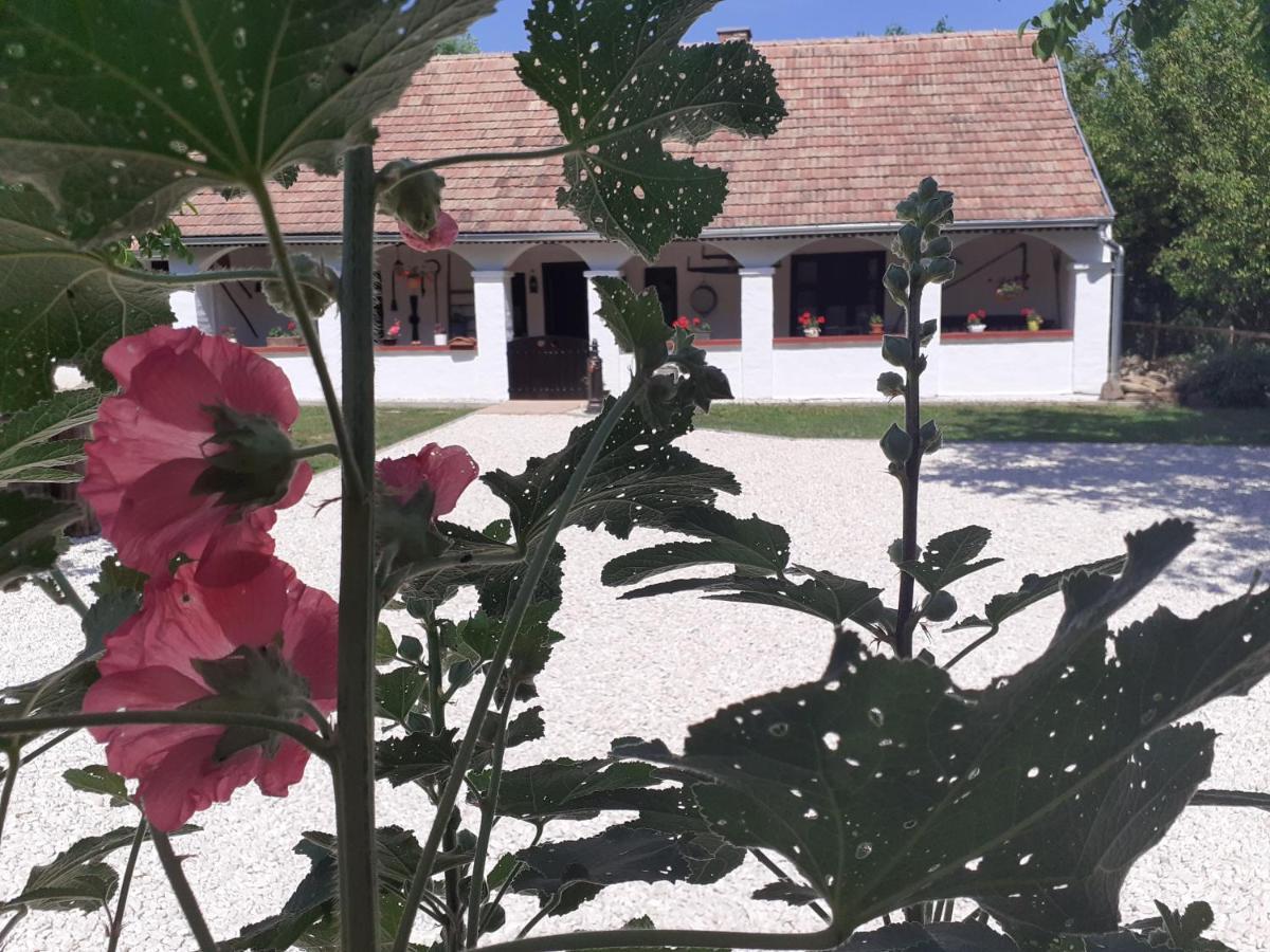 Letunt Idok Vendeghaz Villa Kemenesmihalyfa Exterior photo